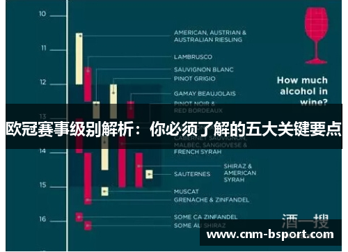 欧冠赛事级别解析:你必须了解的五大关键要点 欧冠赛事级别解析:你必须了解的五大关键要点