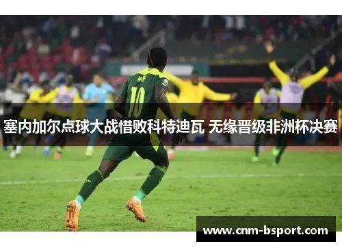 塞内加尔点球大战惜败科特迪瓦 无缘晋级非洲杯决赛