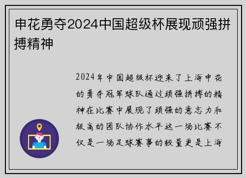 申花勇夺2024中国超级杯展现顽强拼搏精神