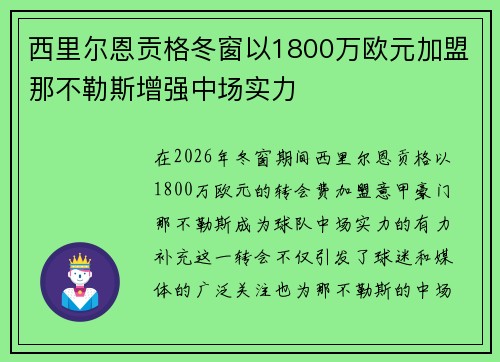 西里尔恩贡格冬窗以1800万欧元加盟那不勒斯增强中场实力